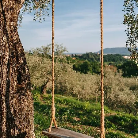 Caterina E L'indaco Sarzana