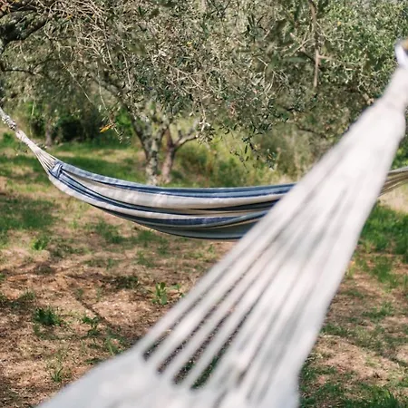 Caterina E L'indaco 3* Sarzana